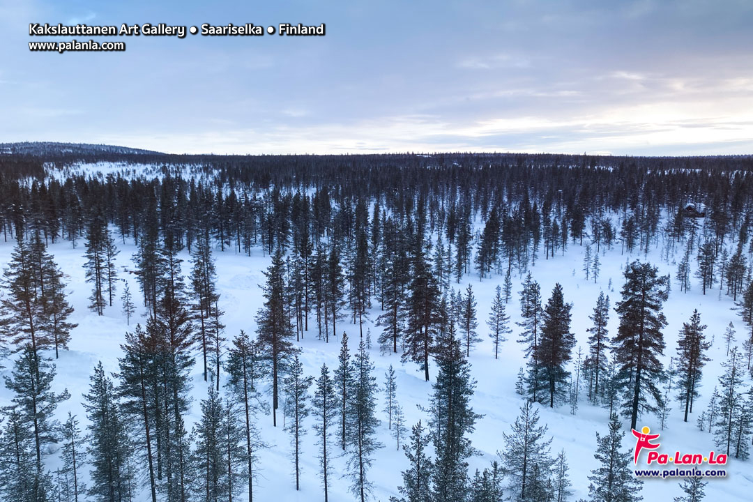 7 Days in Lapland